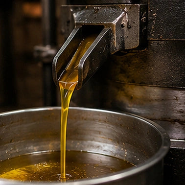 Step 4 — Natural Settling & Filtration